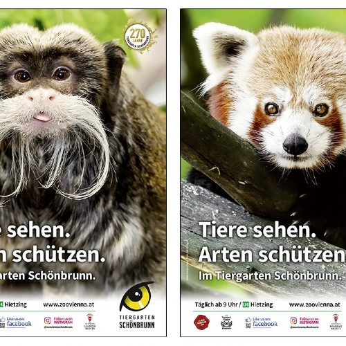 Tiergarten Schönbrunn Sommerkampagne 2022